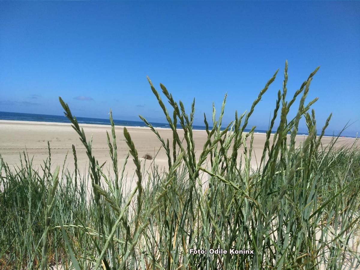 Klein Heemshof - Noord Holland Aan Uw Voeten Warmenhuizen Eksteriør bilde
